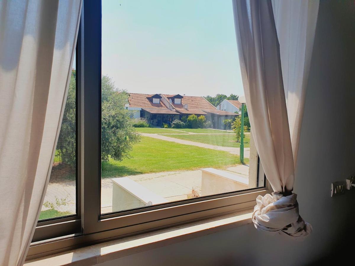 Apartmán Gilboa View - יחידת אירוח מתוקה Reshafim Exteriér fotografie